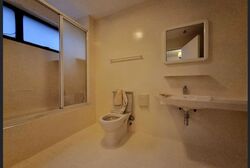 The Cairnhill (D9), Condominium #558345661